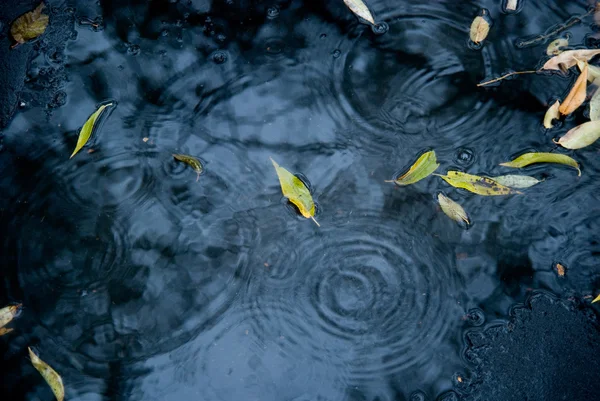 Drops of rain water on a fresh asphalt — Stock Photo, Image