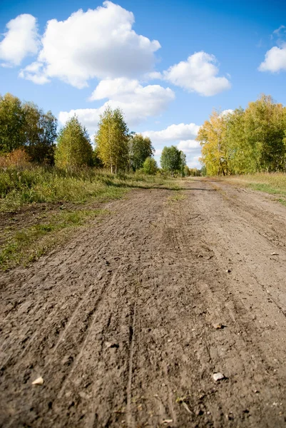 stock image Road pitted by a boat on an air cushion