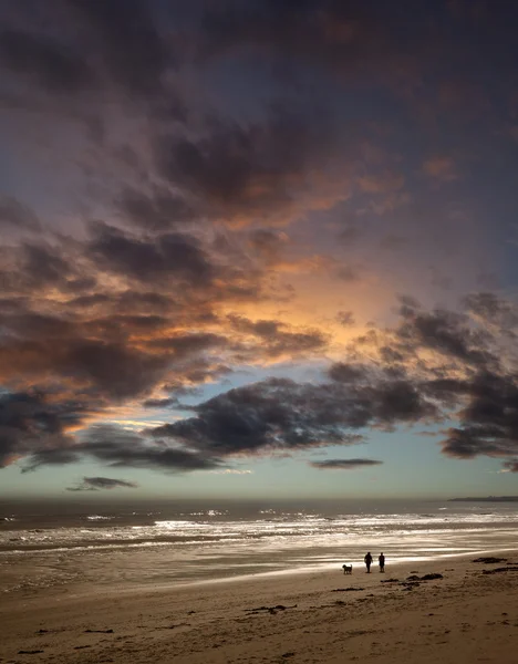 Paar lopen hond op strand bij zonsondergang Rechtenvrije Stockfoto's