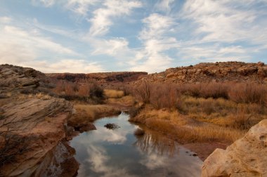 çöl creek