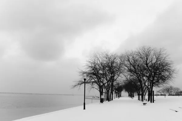 stock image Chicago Winter