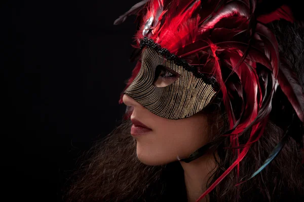 Mardi μάσκα — Φωτογραφία Αρχείου