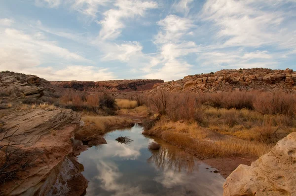 Riacho do deserto — Fotografia de Stock