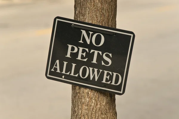 Žádná domácí zvířata povolena — Stock fotografie