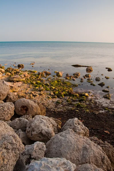 stock image Key West Rocks