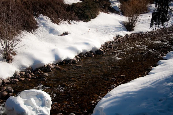 Kış creek — Stok fotoğraf