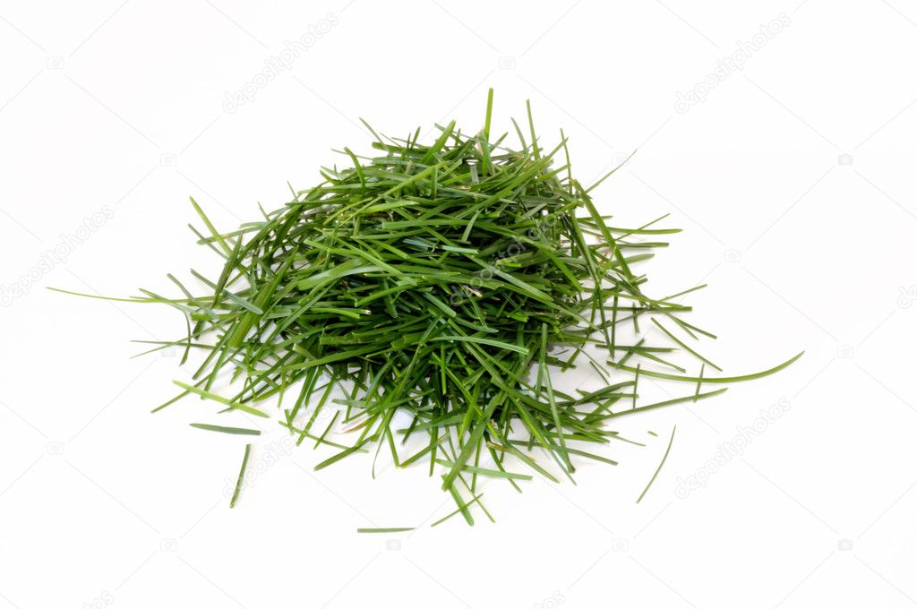 Pile of Grass