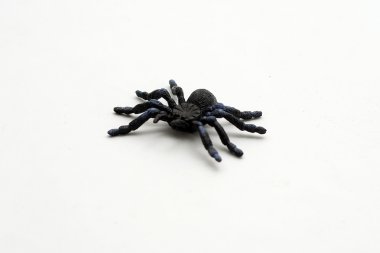 Black Isolated Plastic Toy Spider