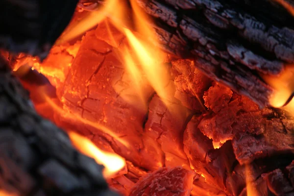 Camp Fire Close Up — Stock Photo, Image