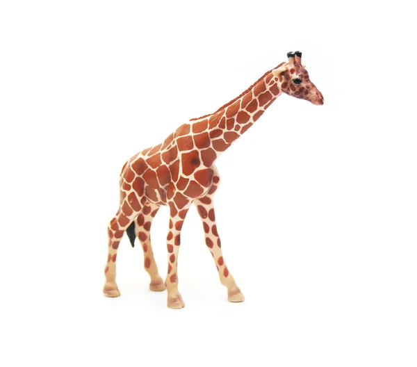 Giraffa giocattolo isolata — Foto Stock