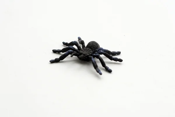 黑色孤立塑料玩具蜘蛛 — 图库照片