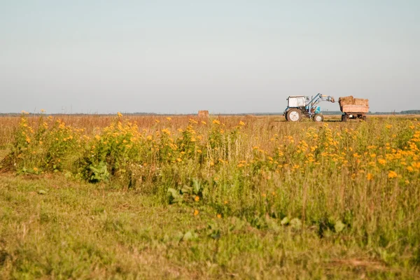 Tractor en el campo —  Fotos de Stock