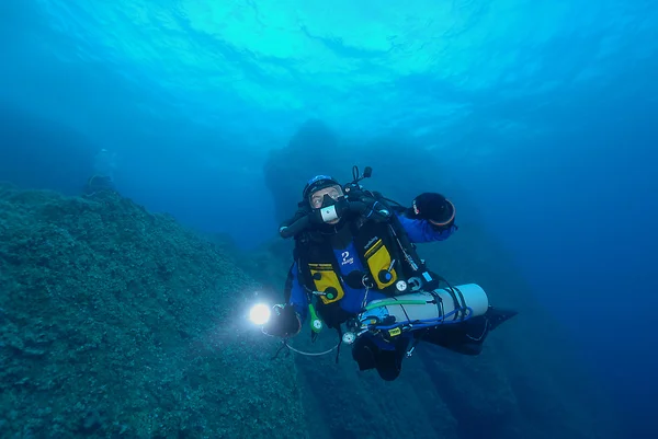 Subacqueo in immersione Telifsiz Stok Fotoğraflar