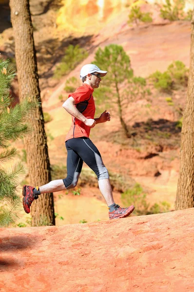 stock image Jogger two