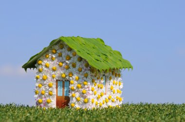 Ecological house clipart