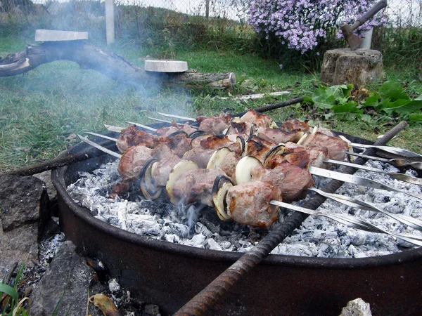Barbecue au chalet — Photo