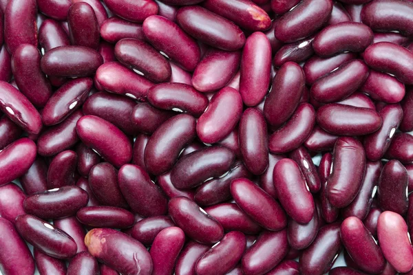 Kidney red beans — Stock Photo, Image