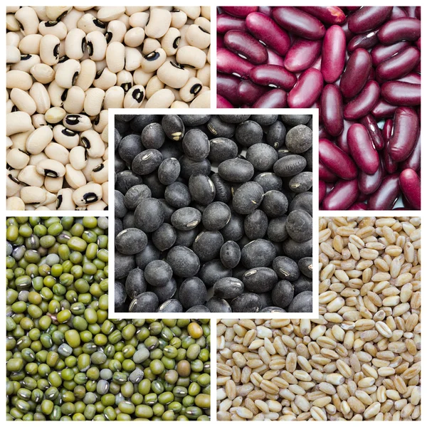 Beans collage — Stock Photo, Image