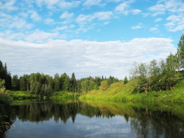 Summer in the North of Russia clipart