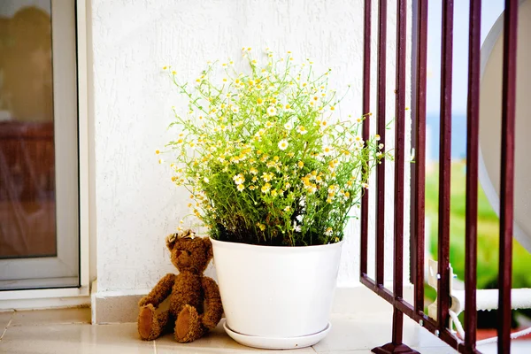 Květináč na balkóně Royalty Free Stock Obrázky