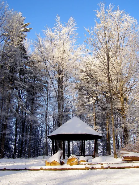 Hut in the winter forest — Stock Photo, Image