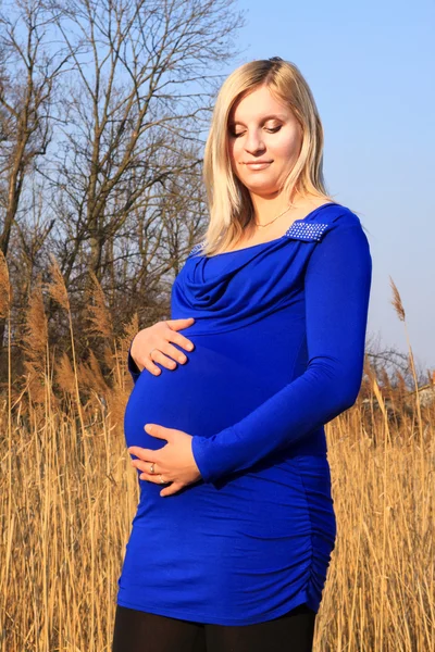 Wanita muda hamil cantik dengan rambut pirang panjang — Stok Foto