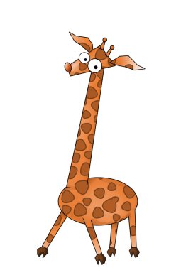 Giraffe, picture