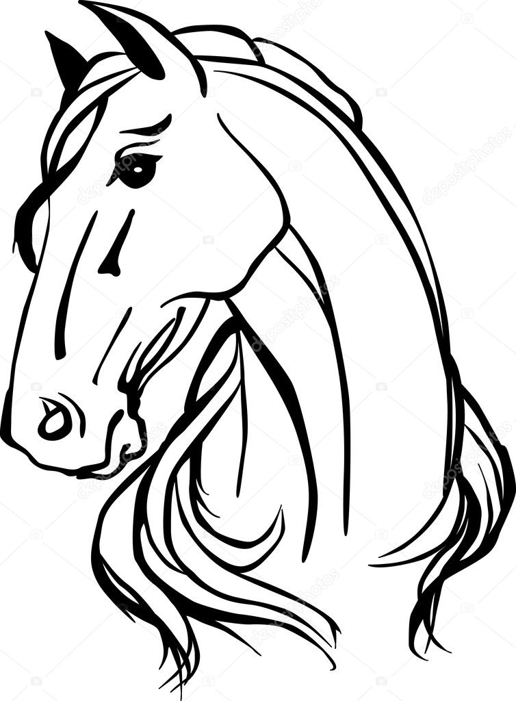 Isolated vector drawing of horse head