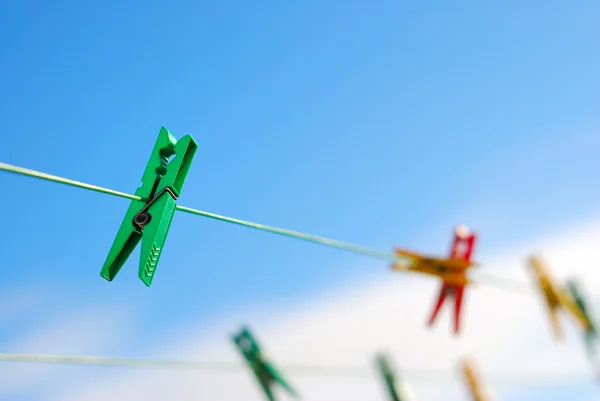 stock image Green clip