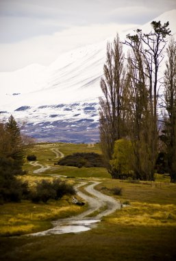 Ülke Yolu