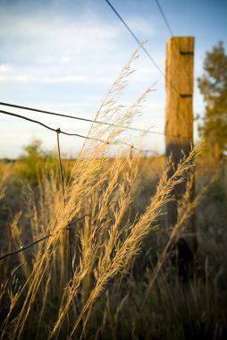 Farm Fence clipart