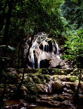 Mexican Jungle Waterfall clipart