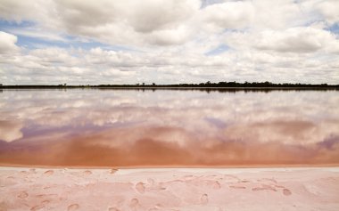 Pink Lake clipart