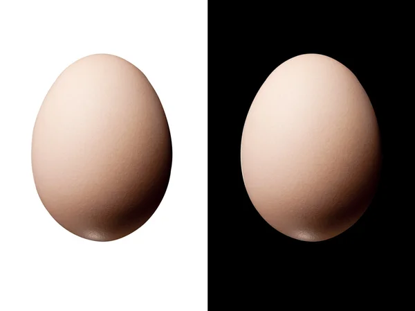Izolované vejce — Stock fotografie