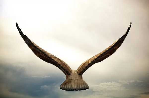 Летучий орёл — стоковое фото