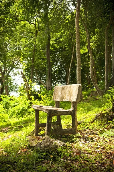 Sedile foresta — Foto Stock