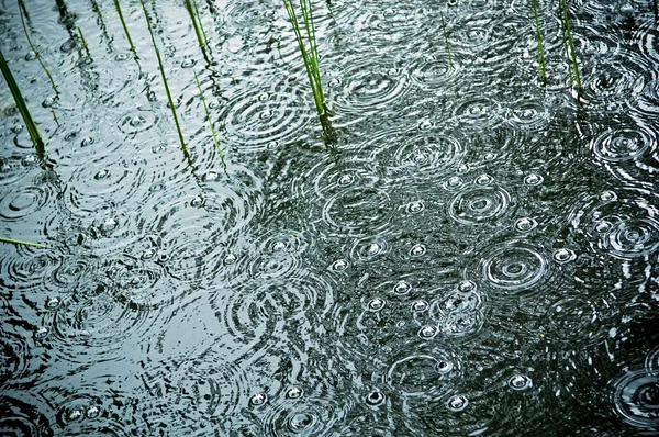 Regen op vijver — Stockfoto
