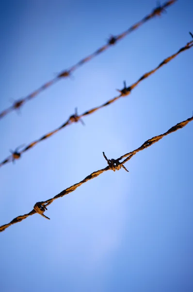 Barbed Wire Close — Stockfoto