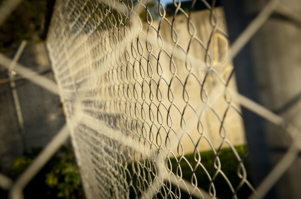 Wire Fence