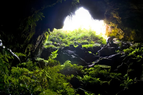 Jeskynní vchod — Stock fotografie
