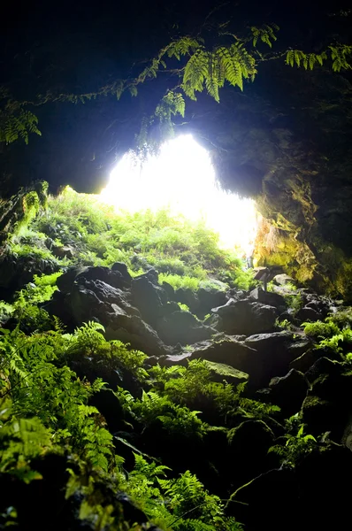 Печера вхід — стокове фото