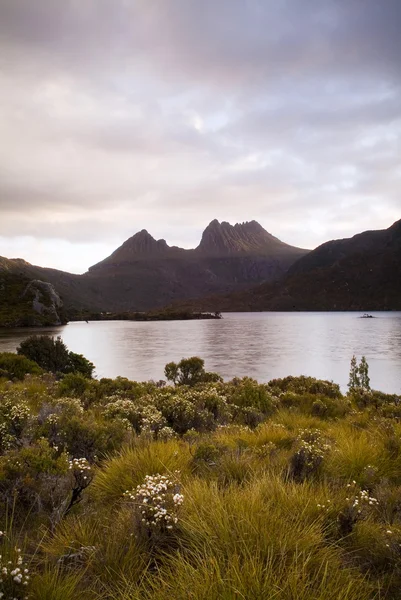 Cuna Montaña, Tasmania —  Fotos de Stock