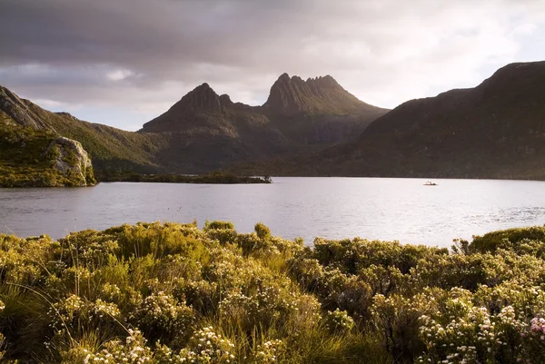 Cradle Mountain, Tasmania — Stockfoto