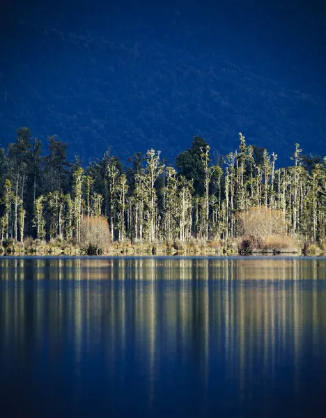Lake reflectie — Stockfoto