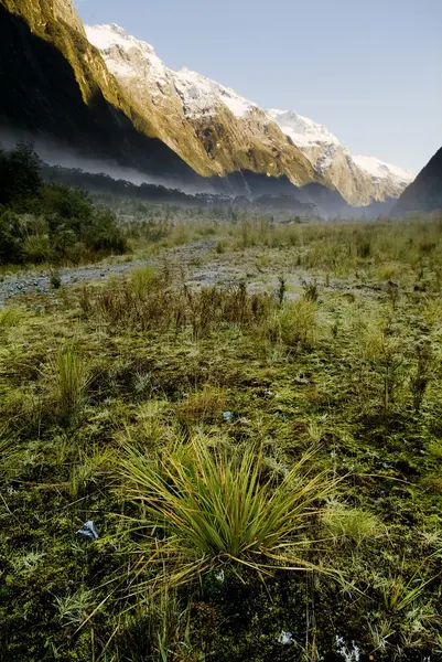 Milford Track — Stock Photo, Image