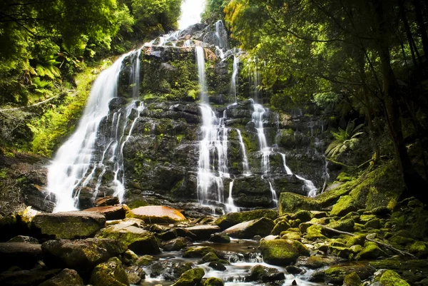 Nelson Falls, Tasmanie — Photo