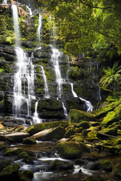 Nelson Falls, Tasmania — Stock Photo, Image