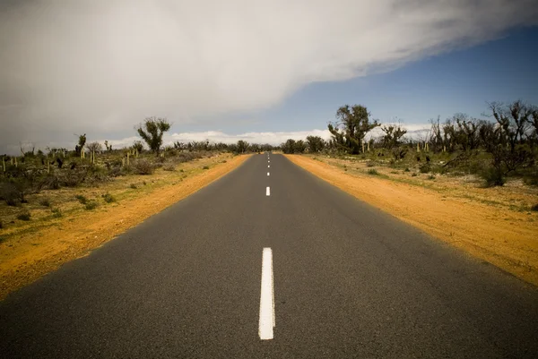 Outback Road — Stockfoto