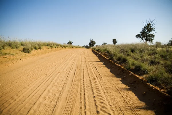 OutBack Road — Stockfoto