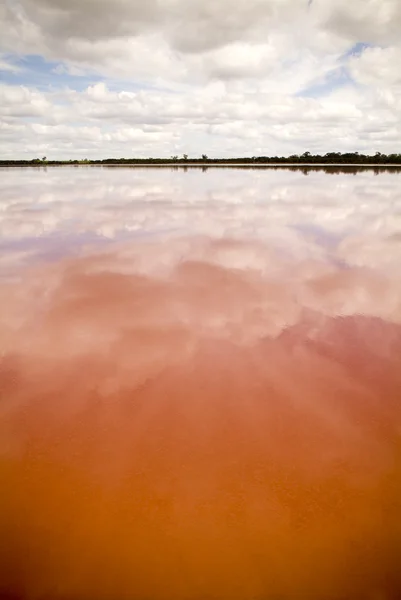 Růžové jezero — Stock fotografie